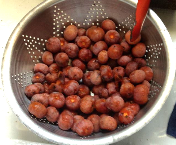 Persimmons in a colander