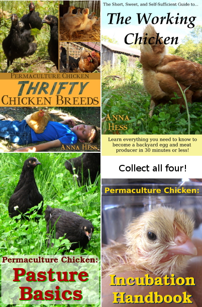 Chicken books