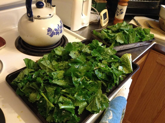 Preparing greens