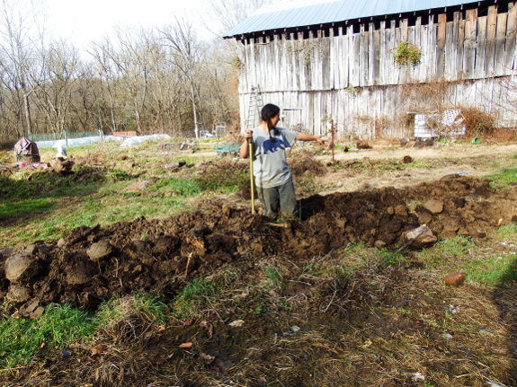 Digging raised beds