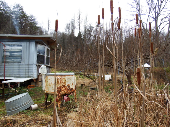 Greywater wetland in winter