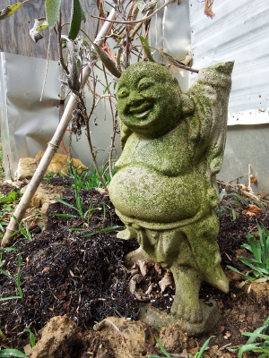 Laughing Buddha