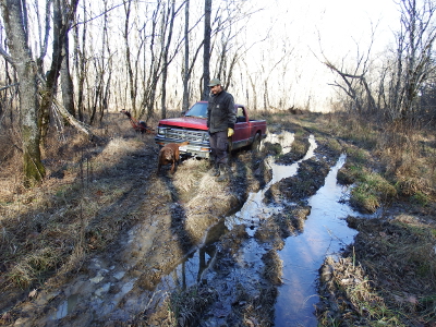 Driveway swamp