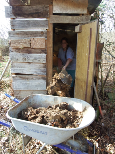 Cleaning out the coop