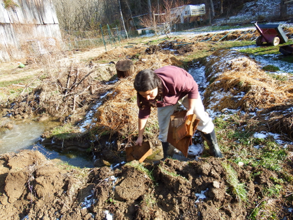 Mulching tall raised beds