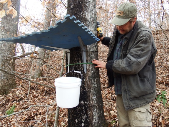 how we protected our sugar maple splie from the rain