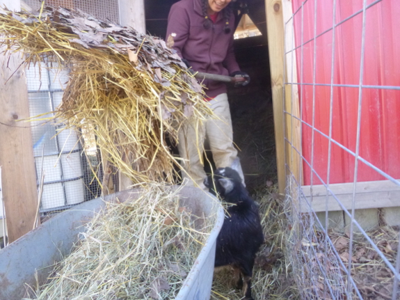 Cleaning out the boat barn