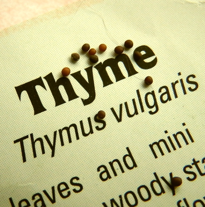 Thyme seeds