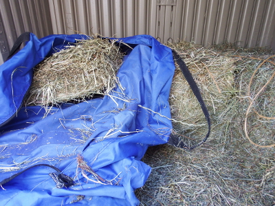 Carrying hay