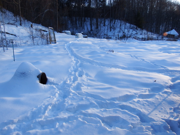 Pathways in the snow