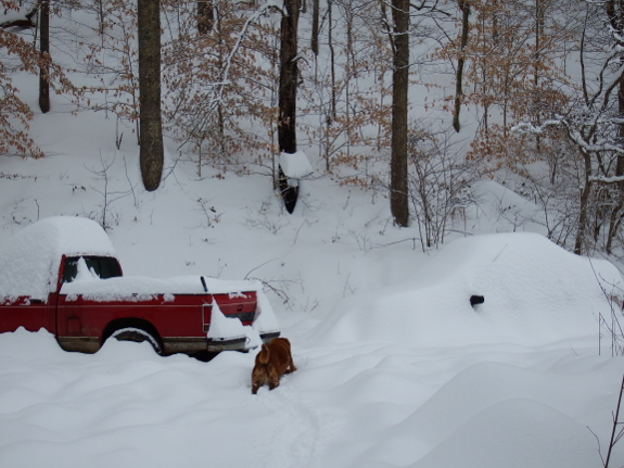 Snow-covered vehicles