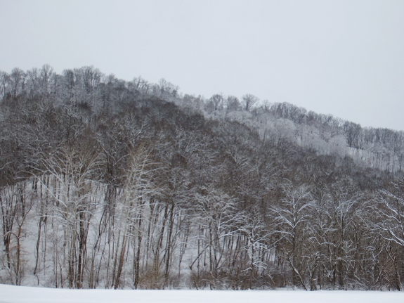Snowy hillside