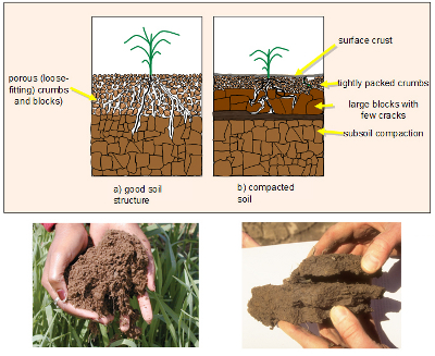 Soil compaction