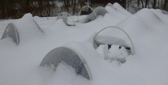 snow damage to the quick hoops