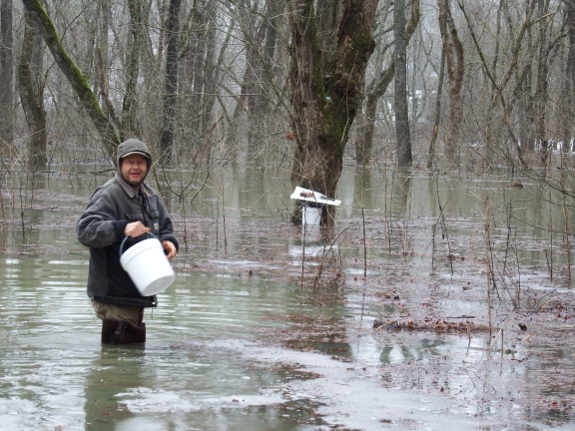 100 year flood