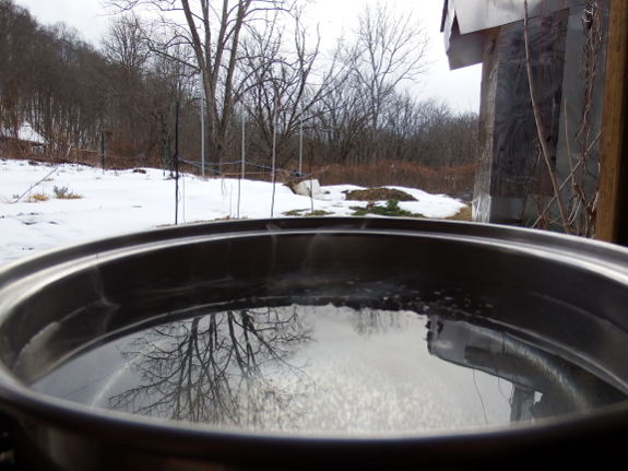 Boiling maple sap