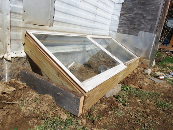 Closing in the cold frame