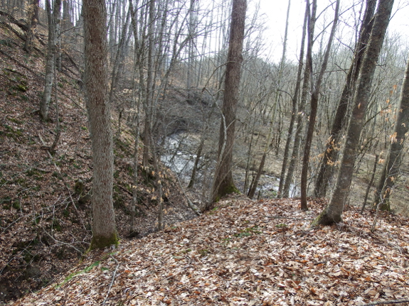 Looking down on floodplain