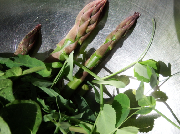 Asparagus and spring greens