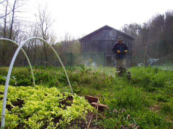 Mowing the garden aisles