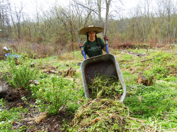 Weed pile