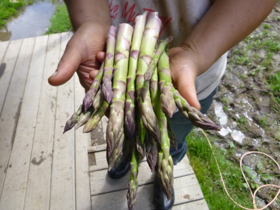 asparagus handful