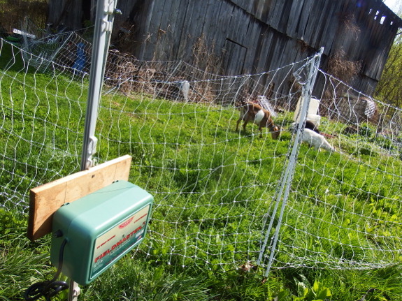 Fence charger