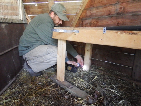 milking stanchion move