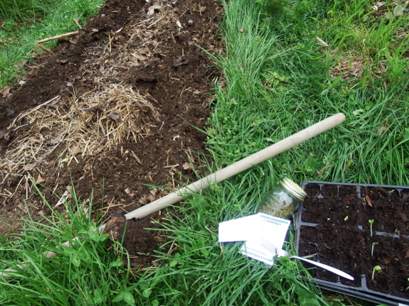 May Day planting