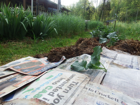 Newspaper mulch