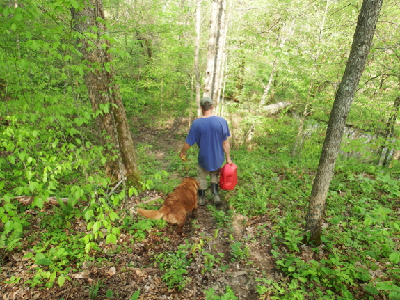 Walking down the hill