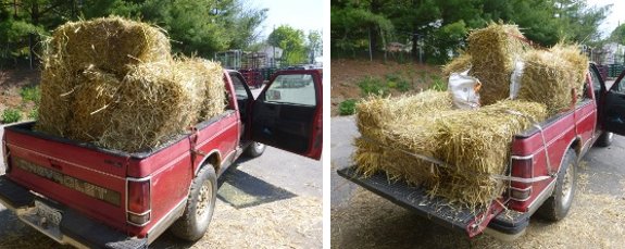 Chevy S-10 loaded down with bales of straw