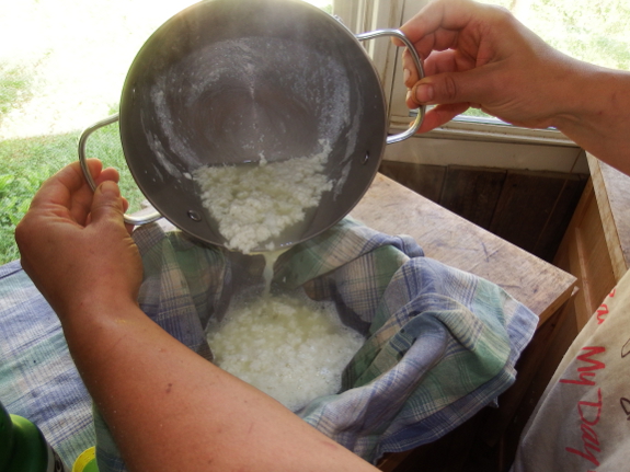 Curds and whey