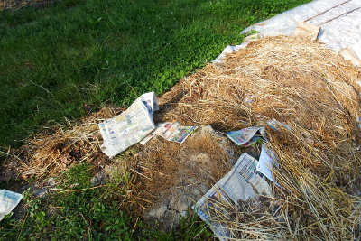 Blowing newspaper mulch