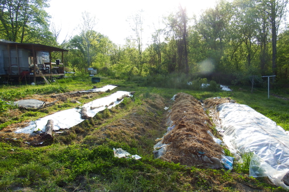 Experimental garden beds