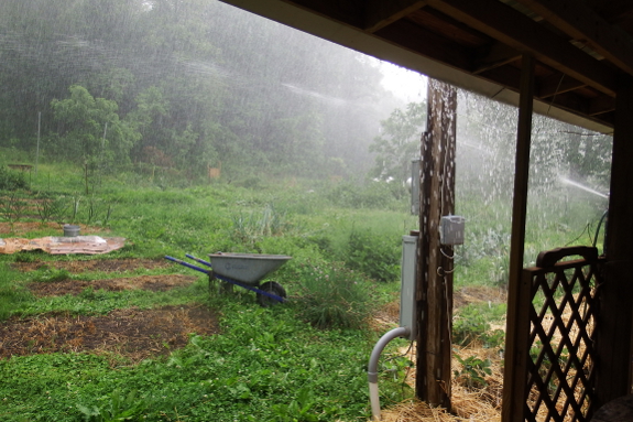 Rainy day sprinklers