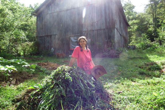 Compost pile of weeds