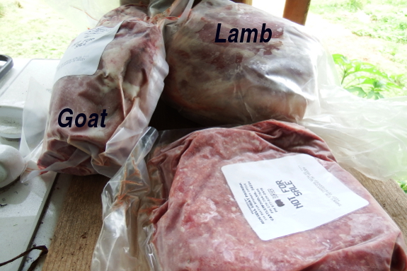 Goat versus lamb meat