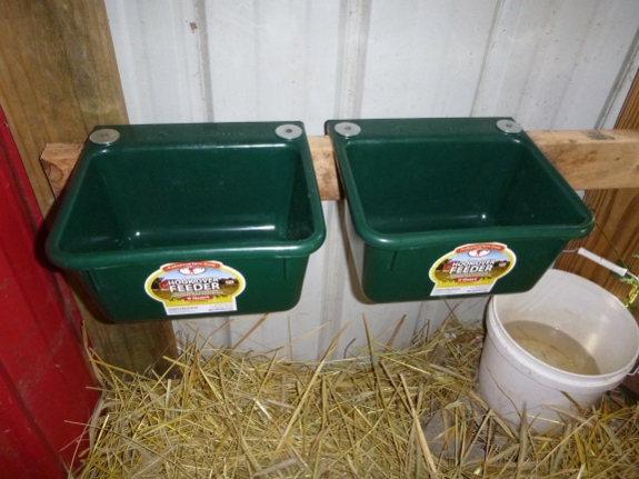 6 quart goat feeder little giant