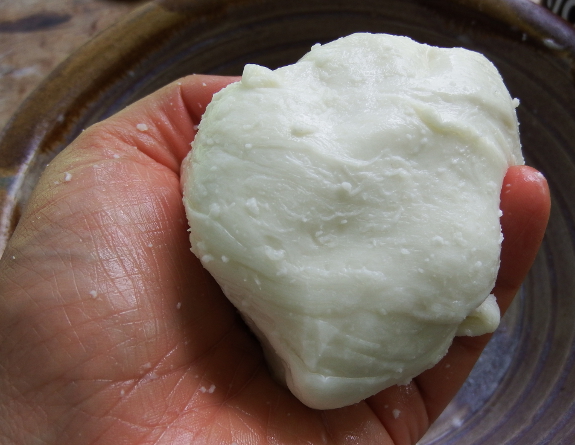 Homemade mozzarella