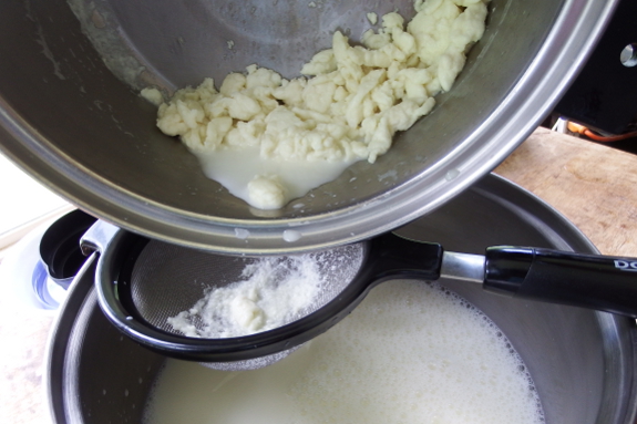 Mozzarella curds and whey