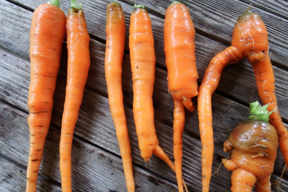 Carrot shapes