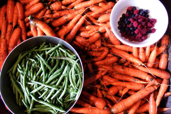 Summer harvest