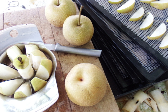 dried pear close up