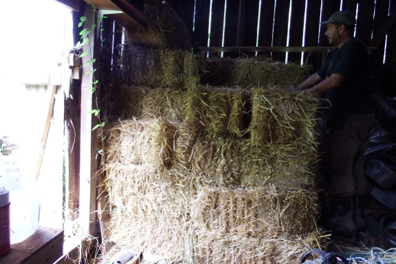 big stack of straw bales