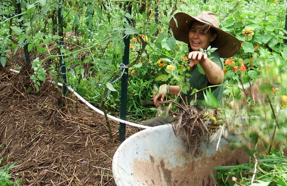 Tossing weeds