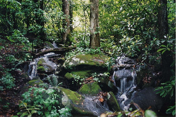 Mountain stream