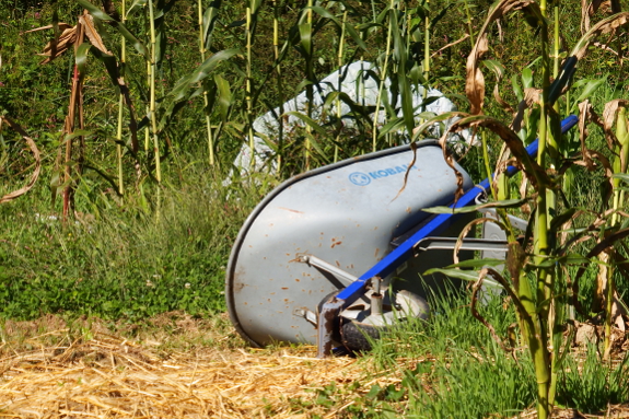 Tired wheelbarrow