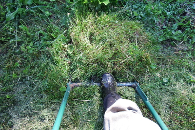 Broadforking in grass