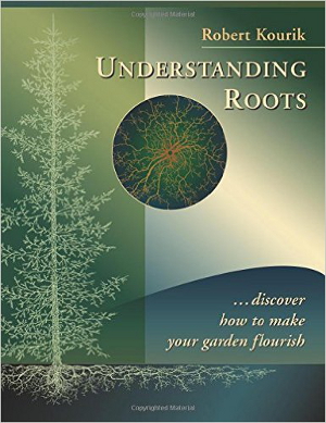 Understanding Roots